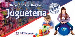 Jugueteria